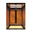 Lift 4 personas usan ascensores 55elevator Passenger Villa de lujo Venta caliente China Residencial Marble de mármol de mármol PVC Monarca inoxidable